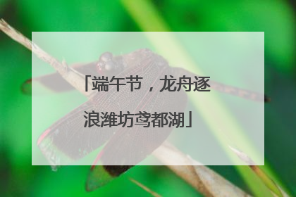 端午节，龙舟逐浪潍坊鸢都湖