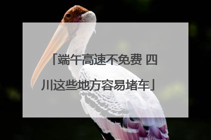 端午高速不免费 四川这些地方容易堵车