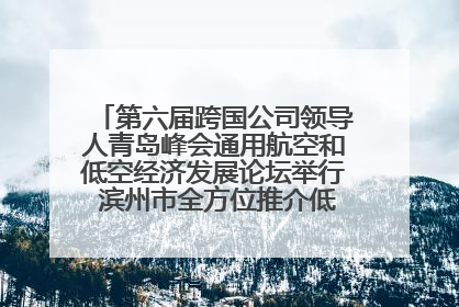 第六届跨国公司领导人青岛峰会通用航空和低空经济发展论坛举行 滨州市全方位推介低空经济发展优势
