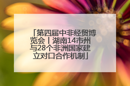 第四届中非经贸博览会丨湖南14市州与28个非洲国家建立对口合作机制