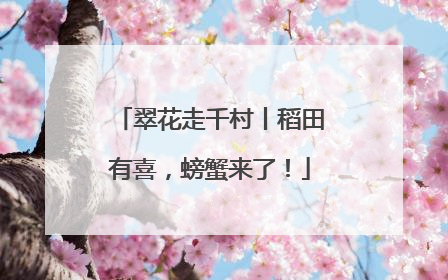 翠花走千村丨稻田有喜，螃蟹来了！