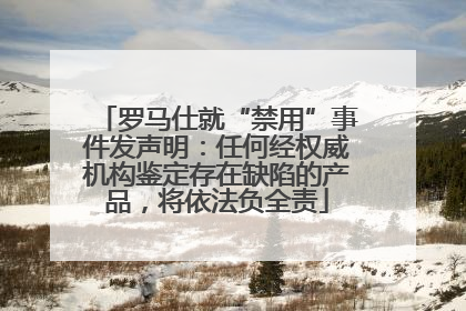 罗马仕就“禁用”事件发声明：任何经权威机构鉴定存在缺陷的产品，将依法负全责