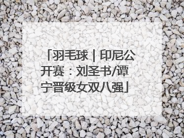 羽毛球｜印尼公开赛：刘圣书/谭宁晋级女双八强