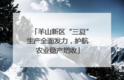 羊山新区“三夏”生产全面发力，护航农业稳产增收