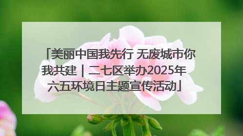 美丽中国我先行 无废城市你我共建｜二七区举办2025年六五环境日主题宣传活动