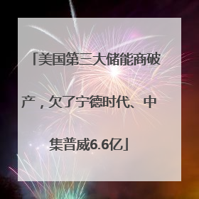美国第三大储能商破产，欠了宁德时代、中集普威6.6亿