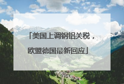 美国上调钢铝关税，欧盟德国最新回应