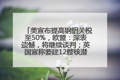 美宣布提高钢铝关税至50%，欧盟：深表遗憾，将继续谈判；英国宣称要建12艘核潜艇；马斯克最新发声：不想为美政府所做的一切承担责任丨早报