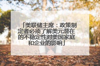 美联储主席：政策制定者必须了解美元潜在的不稳定性对美国家庭和企业的影响