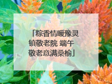 粽香情暖豫灵镇敬老院 端午敬老意满桑榆