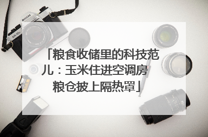 粮食收储里的科技范儿：玉米住进空调房 粮仓披上隔热罩