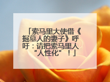 索马里大使借《掘墓人的妻子》呼吁：请把索马里人“人性化”！