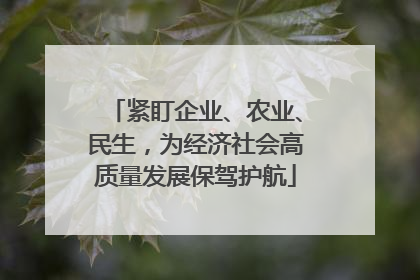 紧盯企业、农业、民生，为经济社会高质量发展保驾护航