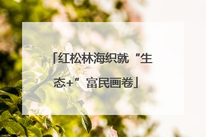 红松林海织就“生态+”富民画卷
