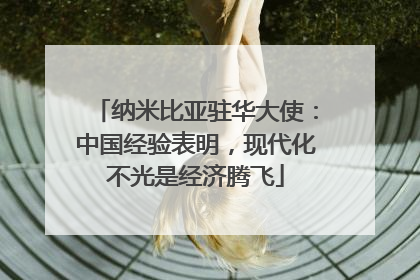 纳米比亚驻华大使：中国经验表明，现代化不光是经济腾飞