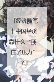经济随笔丨中国经济靠什么“顶住了压力”？