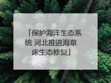 保护海洋生态系统 河北推进海草床生态修复