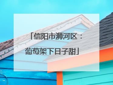 信阳市浉河区：葡萄架下日子甜