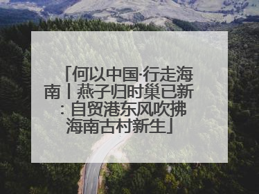 何以中国·行走海南丨燕子归时巢已新：自贸港东风吹拂 海南古村新生