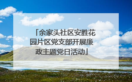 余家头社区安胜花园片区党支部开展廉政主题党日活动