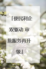 便民利企双驱动 审批服务再升级