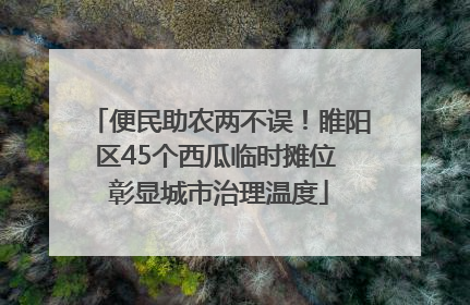 便民助农两不误！睢阳区45个西瓜临时摊位 彰显城市治理温度