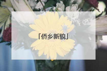 侨乡新貌
