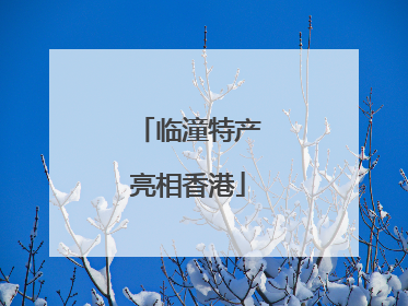 临潼特产亮相香港