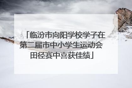 临汾市向阳学校学子在第二届市中小学生运动会田径赛中喜获佳绩