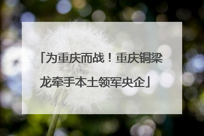 为重庆而战！重庆铜梁龙牵手本土领军央企