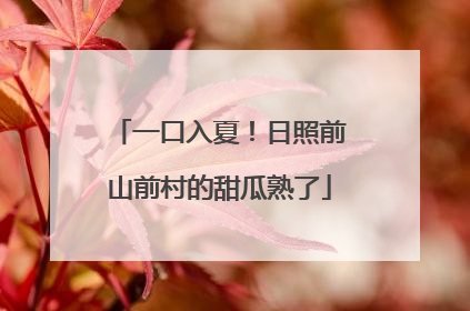 一口入夏！日照前山前村的甜瓜熟了