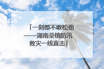 一刻都不敢松劲——湖南桑植防汛救灾一线直击