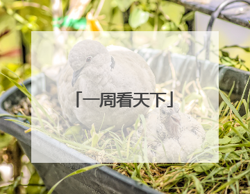 一周看天下