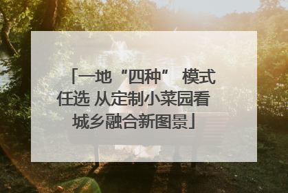 一地“四种” 模式任选 从定制小菜园看城乡融合新图景