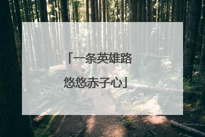 一条英雄路 悠悠赤子心