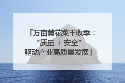 万亩黄花菜丰收季：“质量 + 安全” 驱动产业高质量发展