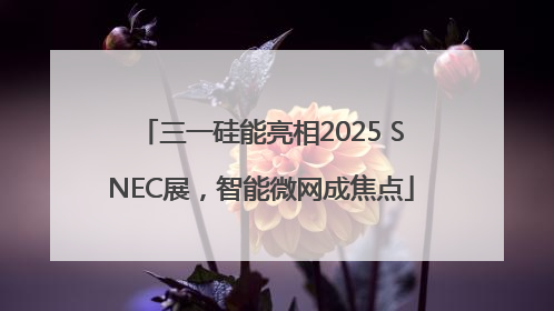 三一硅能亮相2025 SNEC展，智能微网成焦点