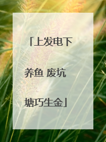 上发电下养鱼 废坑塘巧生金