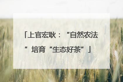 上官宏耿：“自然农法”培育“生态好茶”