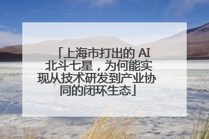 上海市打出的 AI 北斗七星，为何能实现从技术研发到产业协同的闭环生态