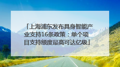 上海浦东发布具身智能产业支持16条政策：单个项目支持额度最高可达亿级