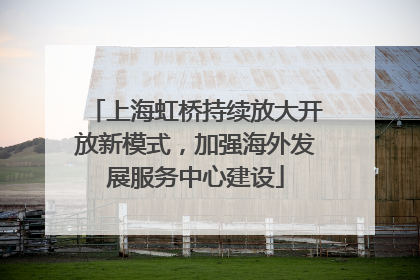 上海虹桥持续放大开放新模式，加强海外发展服务中心建设