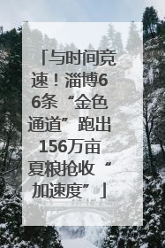 与时间竞速！淄博66条“金色通道”跑出156万亩夏粮抢收“加速度”