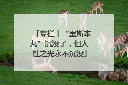 专栏丨“里斯本丸”沉没了，但人性之光永不沉没