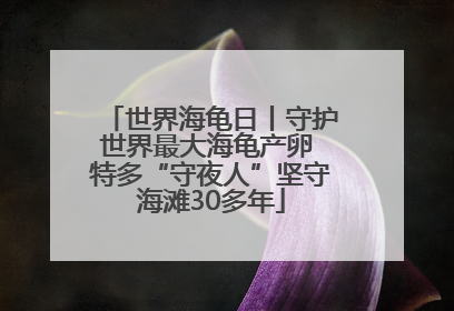 世界海龟日丨守护世界最大海龟产卵 特多“守夜人”坚守海滩30多年