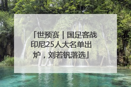 世预赛｜国足客战印尼25人大名单出炉，刘若钒落选
