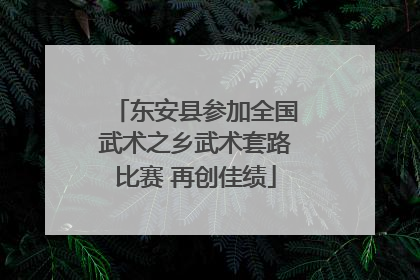 东安县参加全国武术之乡武术套路比赛 再创佳绩
