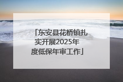 东安县花桥镇扎实开展2025年度低保年审工作