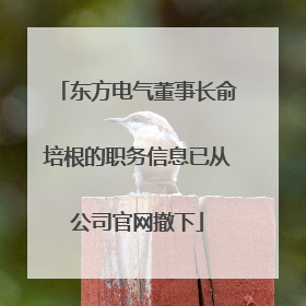 东方电气董事长俞培根的职务信息已从公司官网撤下