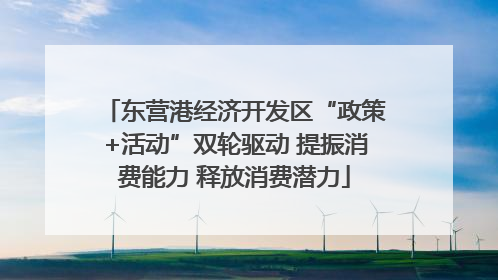 东营港经济开发区“政策+活动”双轮驱动 提振消费能力 释放消费潜力
